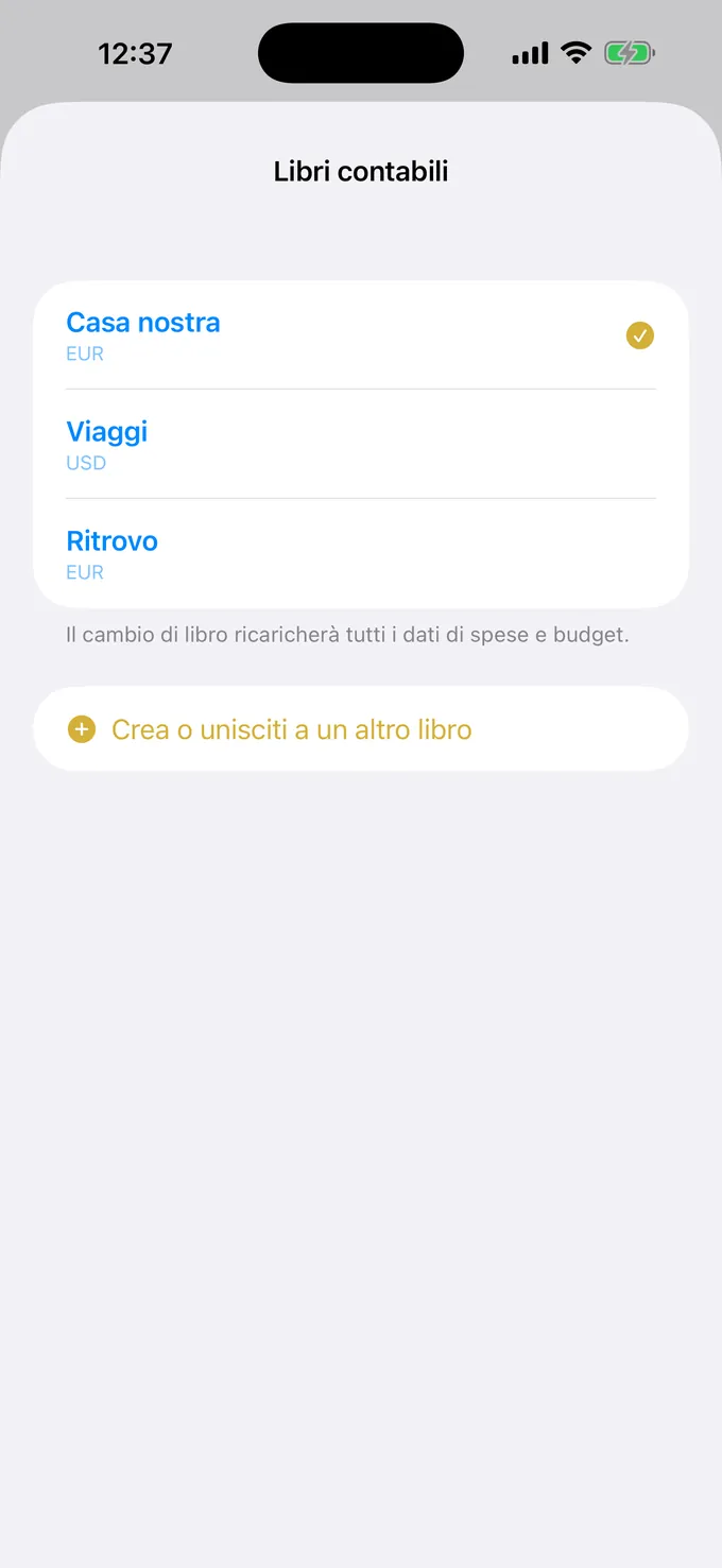 Elenco dei budget condivisi per scopo